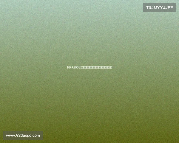 FIFA2002世界杯控制键操作全解析与实战技巧指南攻略版 FIFA2002世界杯控制键操作全解析与实战技巧指南攻略版